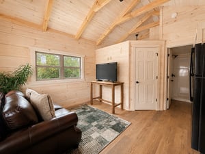 Pioneer photo 2