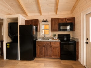 Pioneer photo 3